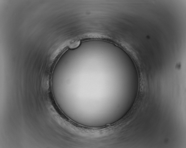 X0000116770015200912241213