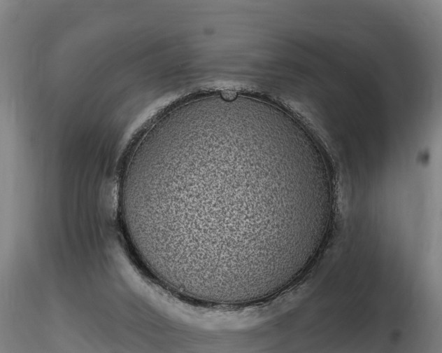 X0000116770016200912241213