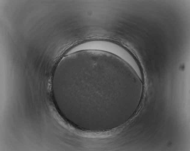 X0000116770017200912241213