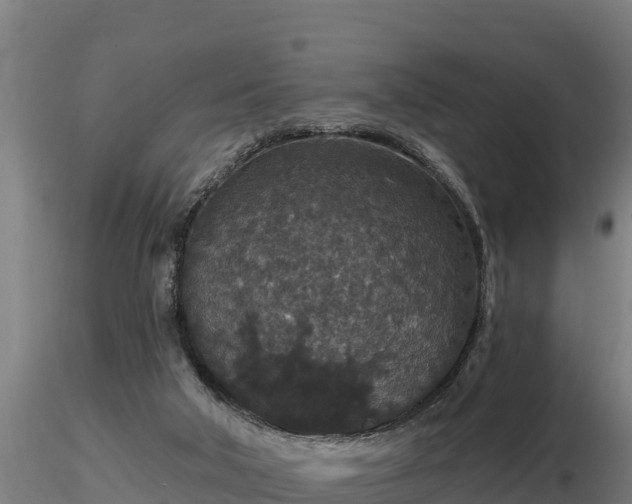 X0000116770018200912241213