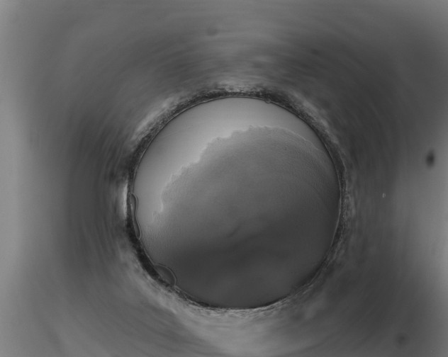 X0000116770019200912241213