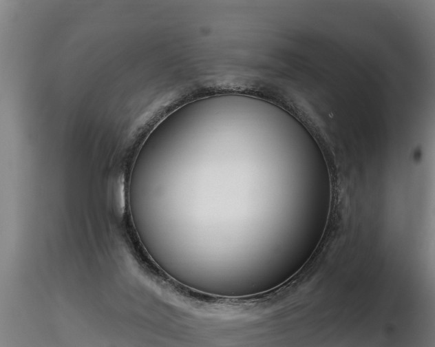 X0000116770020200912241213