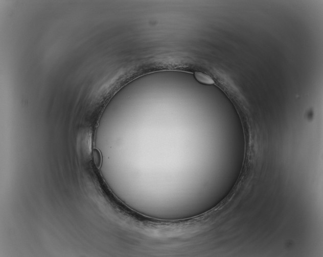 X0000116770021200912241213