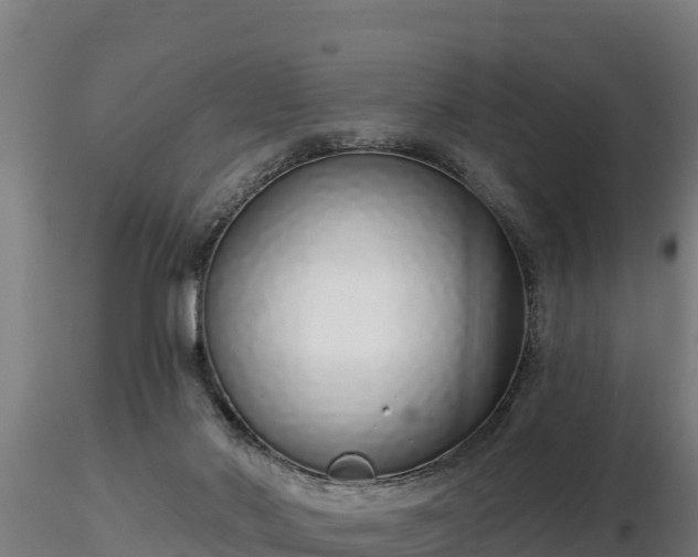 X0000116770022200912241213