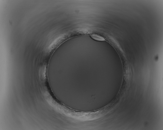 X0000116770023200912241213