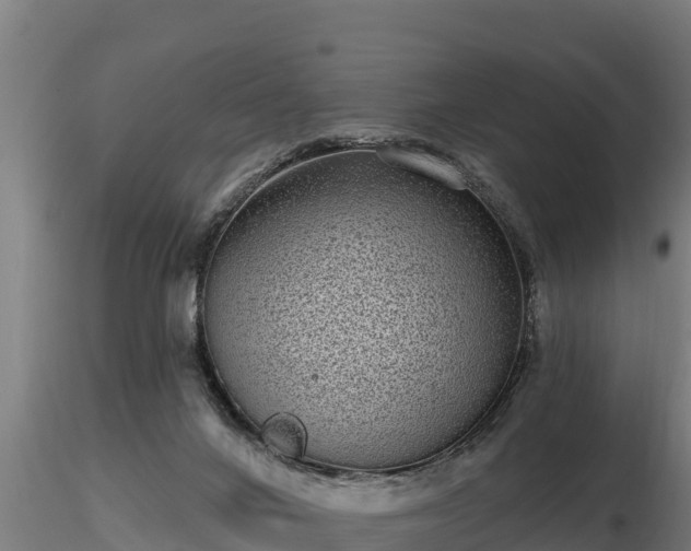 X0000116770024200912241213