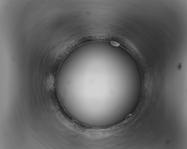 X0000116770025200912241213