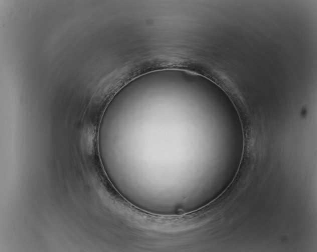X0000116770026200912241213