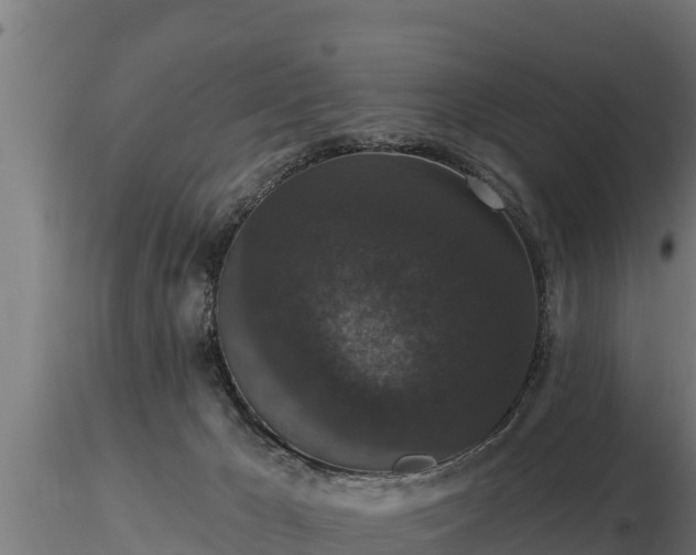 X0000116770029200912241213