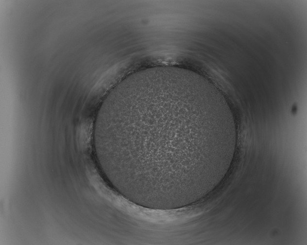 X0000116770030200912241213