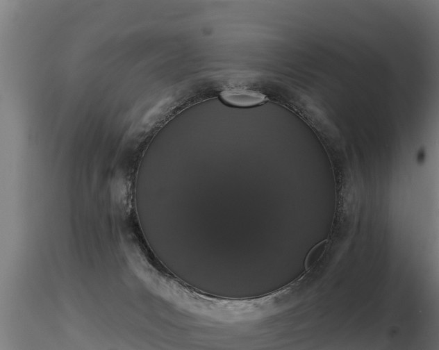 X0000116770031200912241213