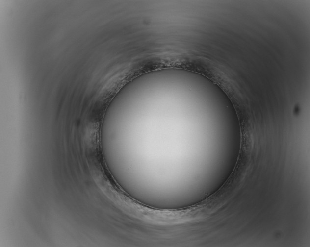 X0000116770034200912241213