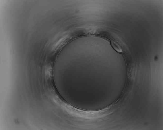 X0000116770035200912241213