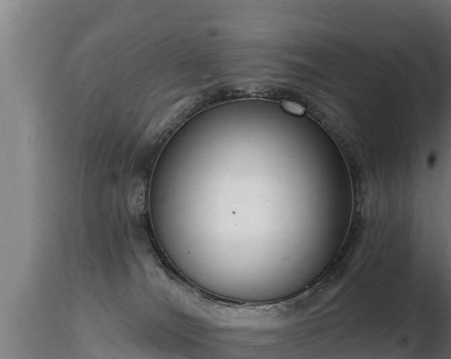 X0000116770036200912241213