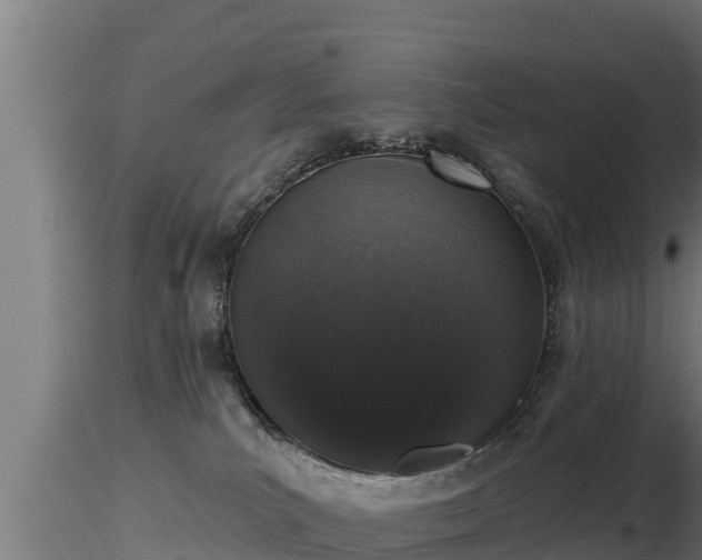 X0000116770039200912241213
