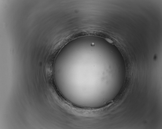 X0000116770040200912241213