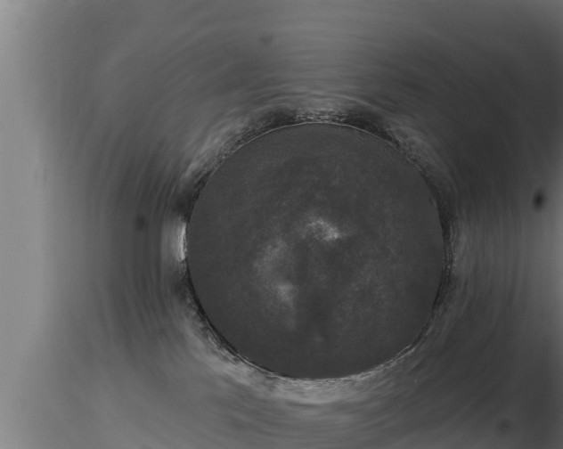 X0000116770041200912241213