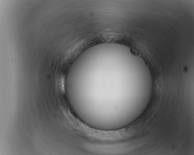 X0000116770042200912241213