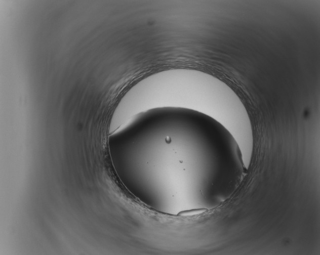 X0000116770043200912241213