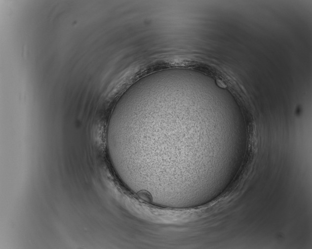 X0000116770044200912241213