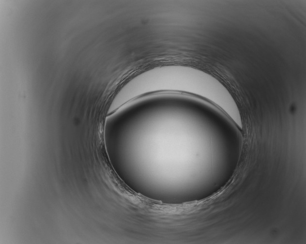 X0000116770045200912241213