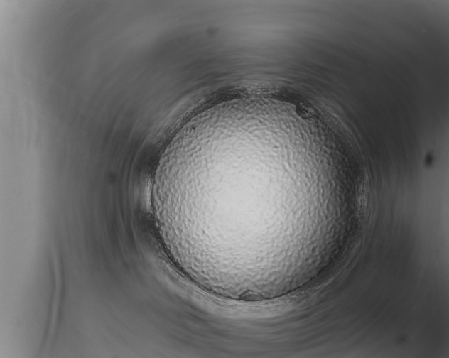 X0000116770046200912241213