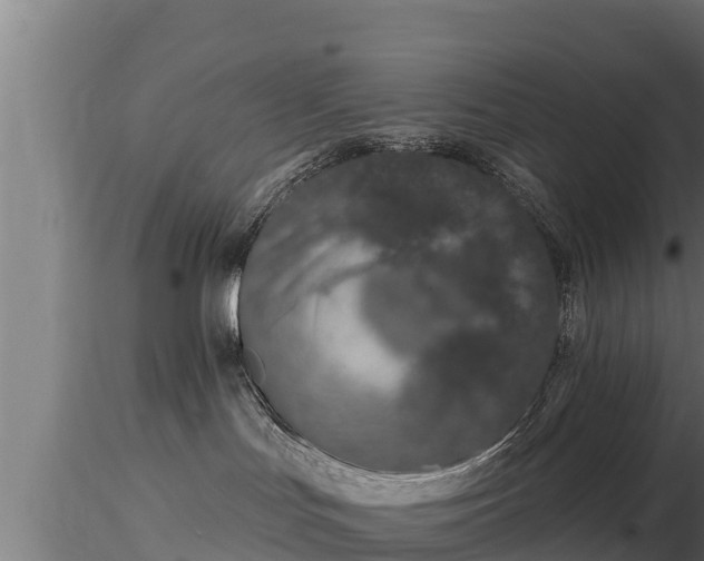 X0000116770047200912241213