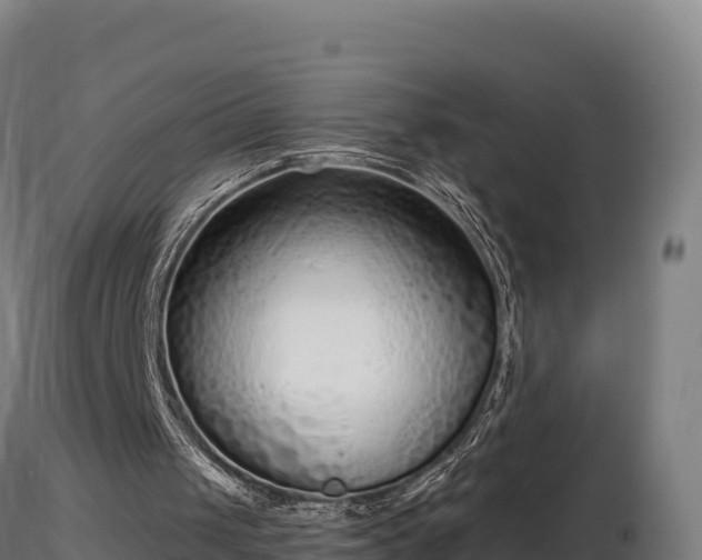 X0000116770049200912241212