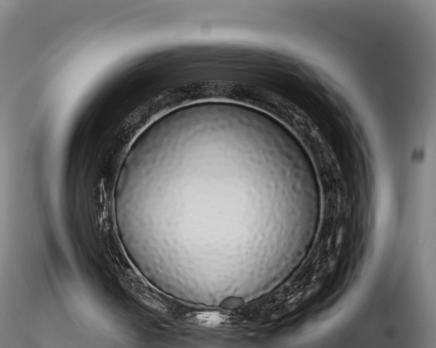 X0000116770050200912241212