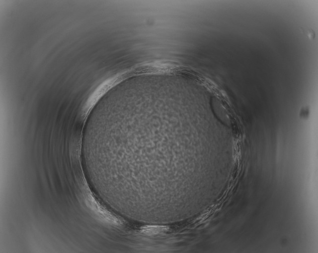 X0000116770051200912241212