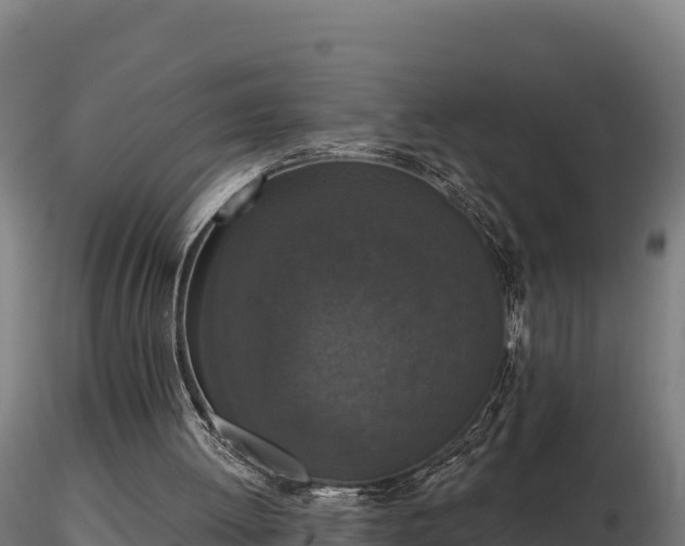 X0000116770052200912241212
