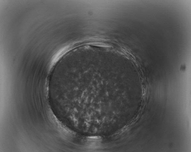 X0000116770053200912241212