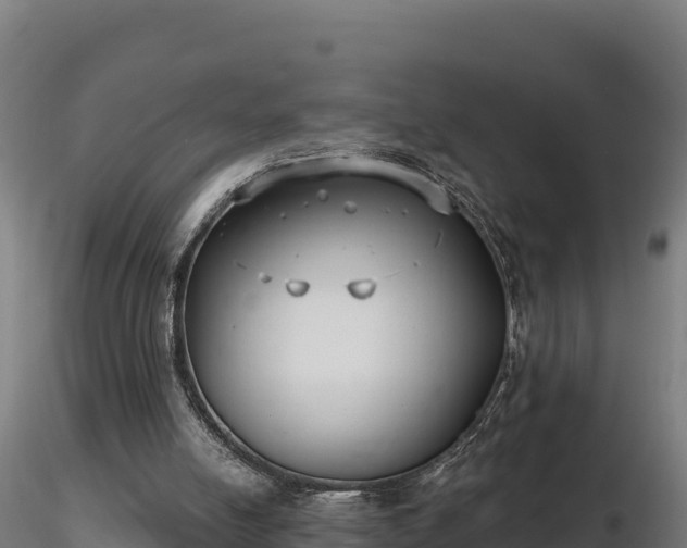 X0000116770054200912241212