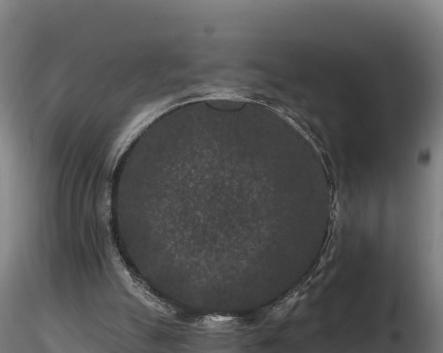 X0000116770055200912241212