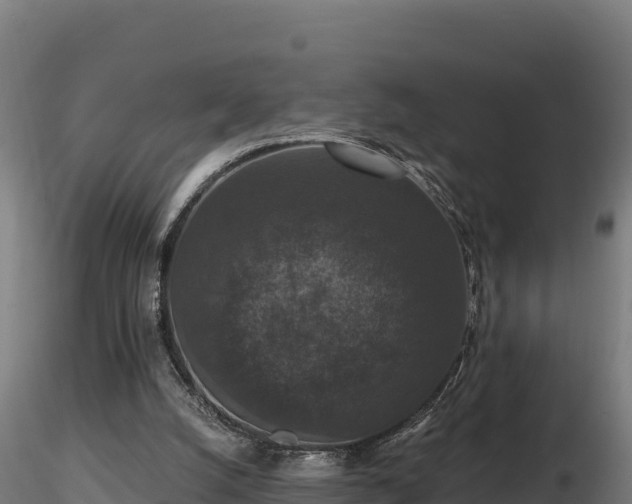 X0000116770056200912241212