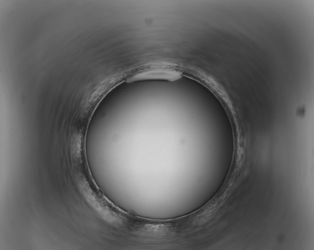 X0000116770057200912241212