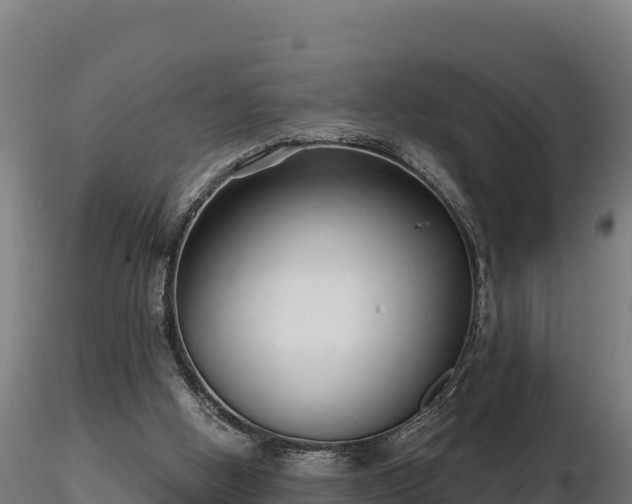 X0000116770058200912241212