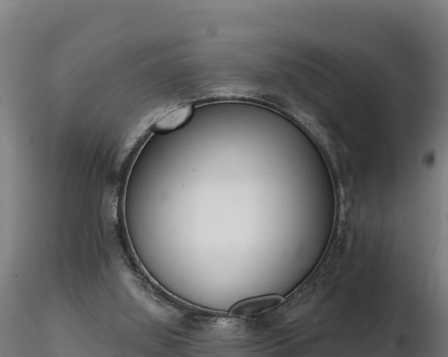 X0000116770060200912241212