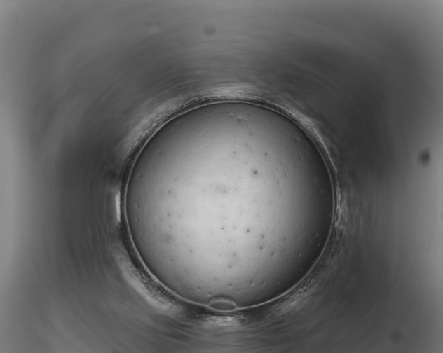 X0000116770061200912241212