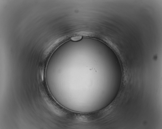 X0000116770062200912241212