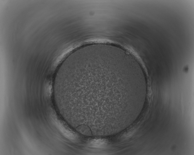X0000116770063200912241212