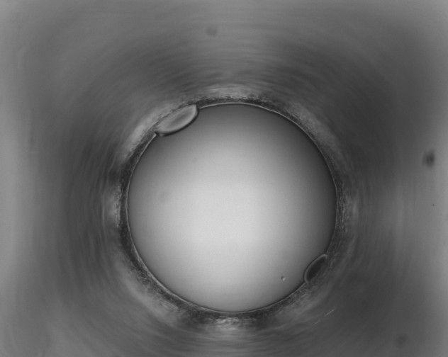 X0000116770064200912241212