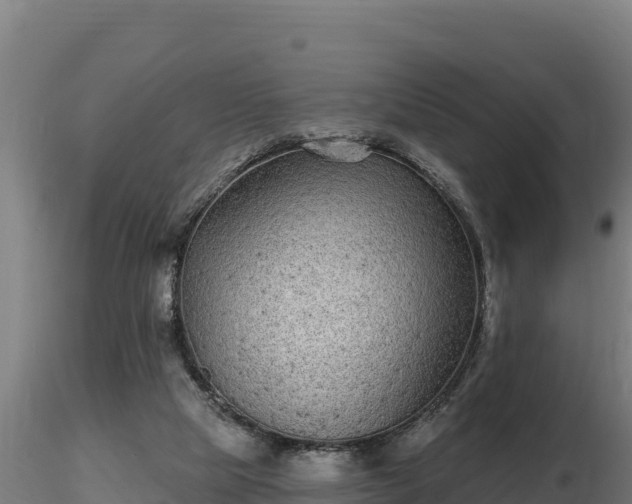 X0000116770065200912241212