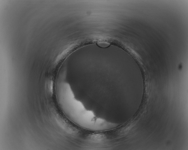 X0000116770067200912241212