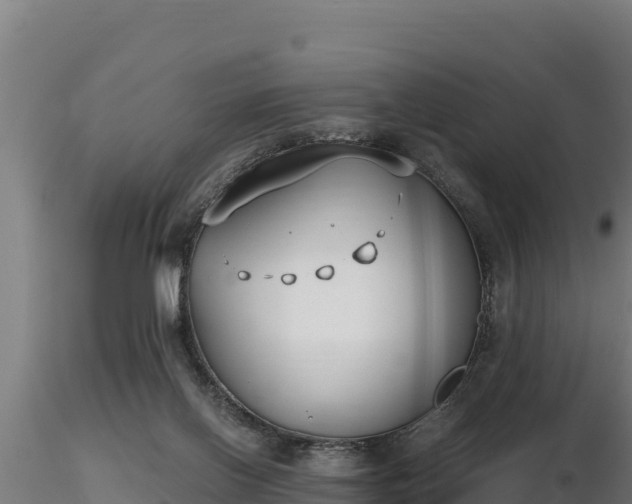 X0000116770070200912241212