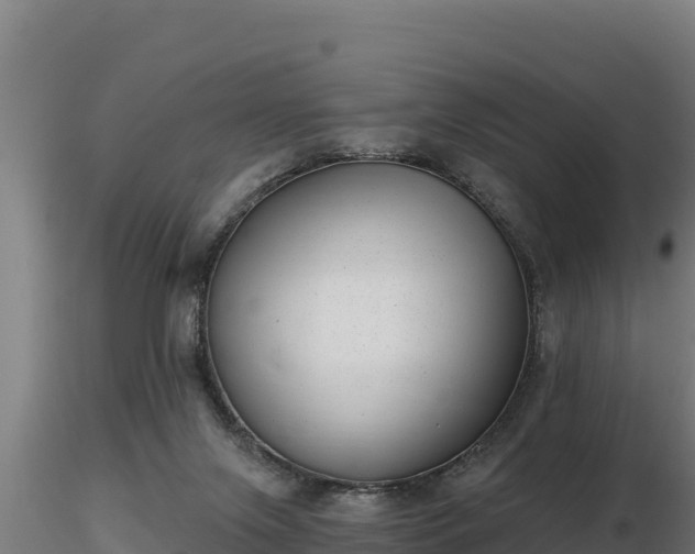 X0000116770071200912241212
