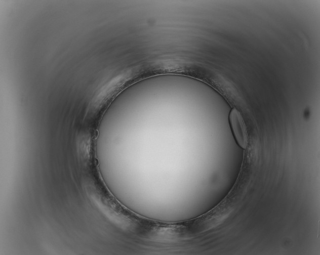 X0000116770072200912241212
