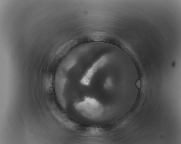 X0000116770073200912241212