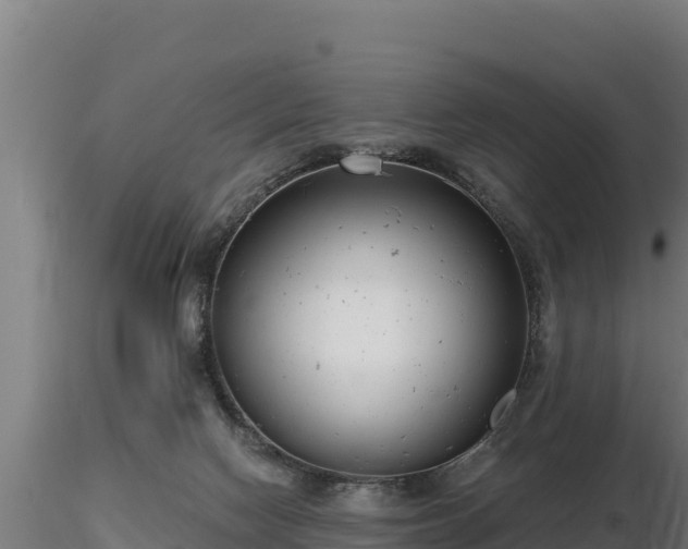 X0000116770074200912241212