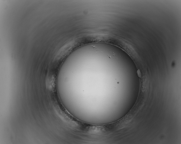 X0000116770077200912241212